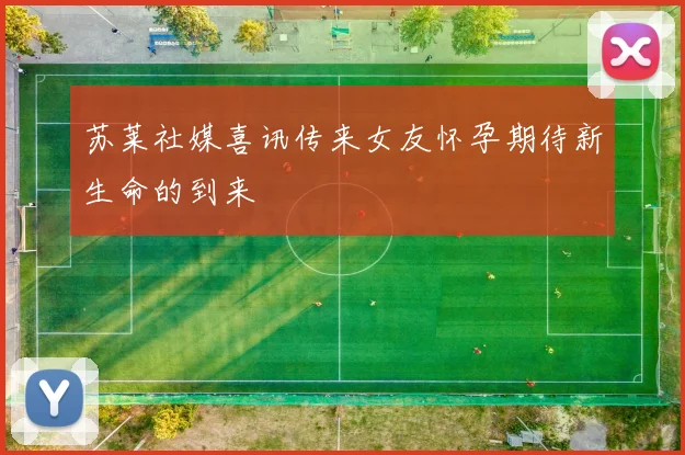 苏莱社媒喜讯传来女友怀孕期待新生命的到来
